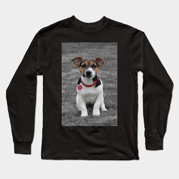 They Call It Puppy Love Long Sleeve T-Shirt by AH64D